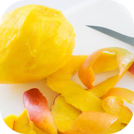 EXPORT-QUALITY FROZEN MANGO – VIETNAM | WHOLE, HALVES & SLICES FOR WHOLESALE 4