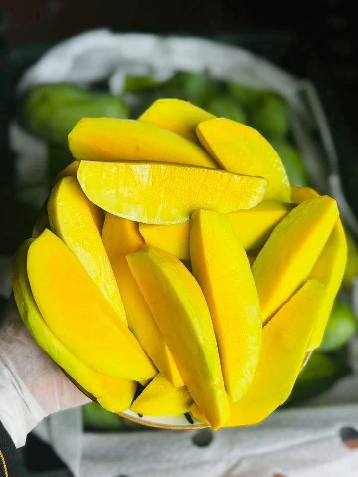 LOW-SEED MANGO – VIETNAM | FRESH TROPICAL FRUIT FOR WHOLESALE & EXPORT 3