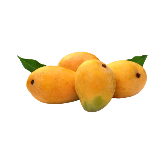 GRADE 1 FRESH MANGO 1KG – VIETNAM | 12CM, NATURAL TROPICAL FRUIT & COLD-STORED B2B SUPPLY
