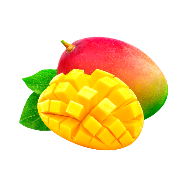 GRADE 1 FRESH MANGO 1KG – VIETNAM | 12CM, NATURAL TROPICAL FRUIT & COLD-STORED B2B SUPPLY 4