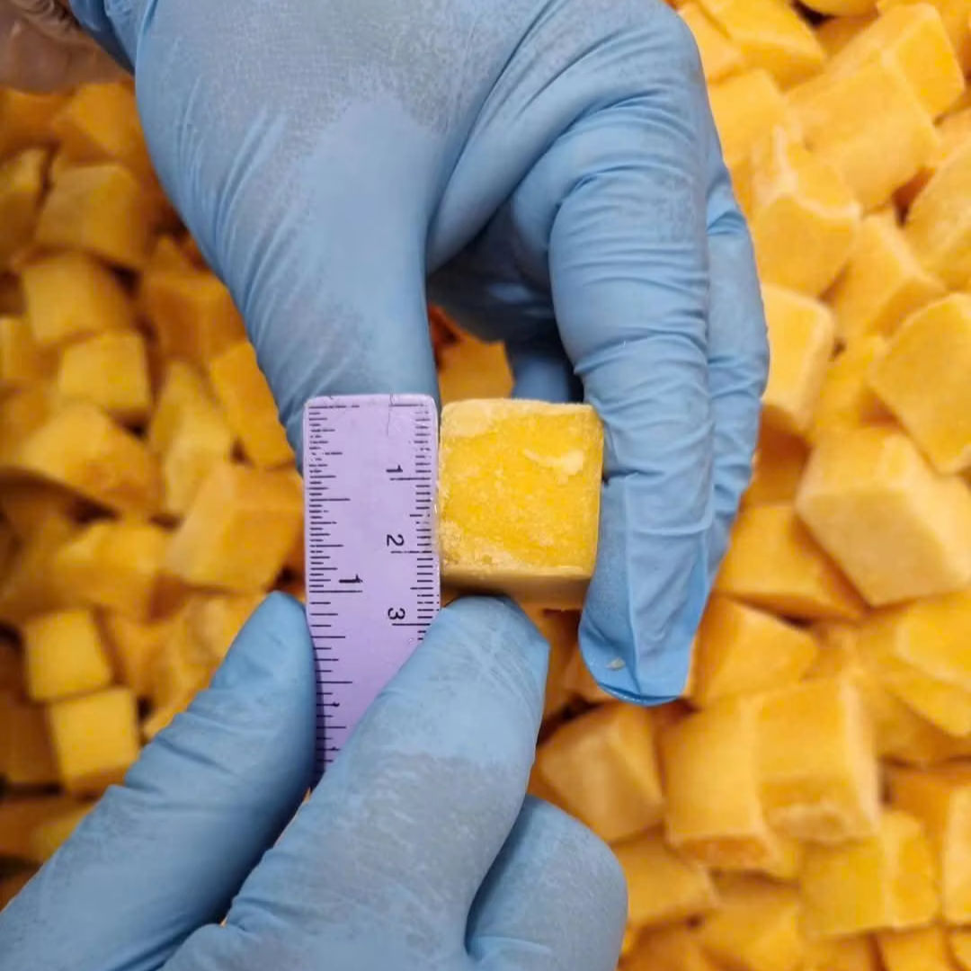 PREMIUM IQF FROZEN MANGO 12KG – VIETNAM | HALVES & DICES FOR BULK WHOLESALE