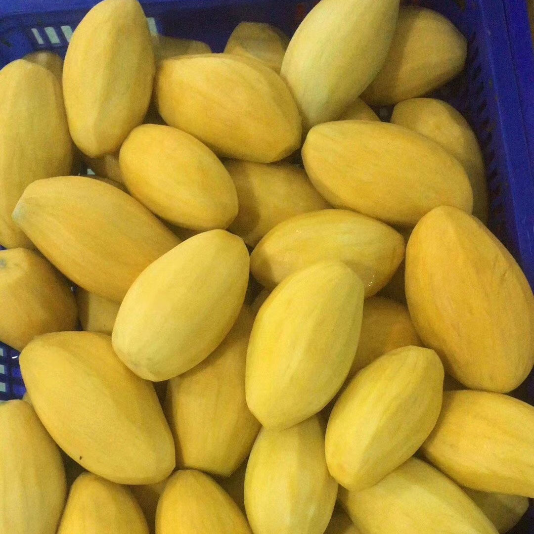 FROZEN MANGO IN SYRUP – VIETNAM | VACUUM-PACKED BULK SUPPLY FOR EXPORT