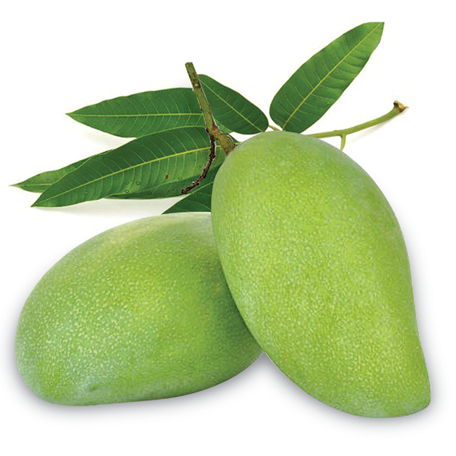 PREMIUM FRESH SWEET MANGO – VIETNAM | HIGH-QUALITY TROPICAL FRUIT FOR WHOLESALE & EXPORT