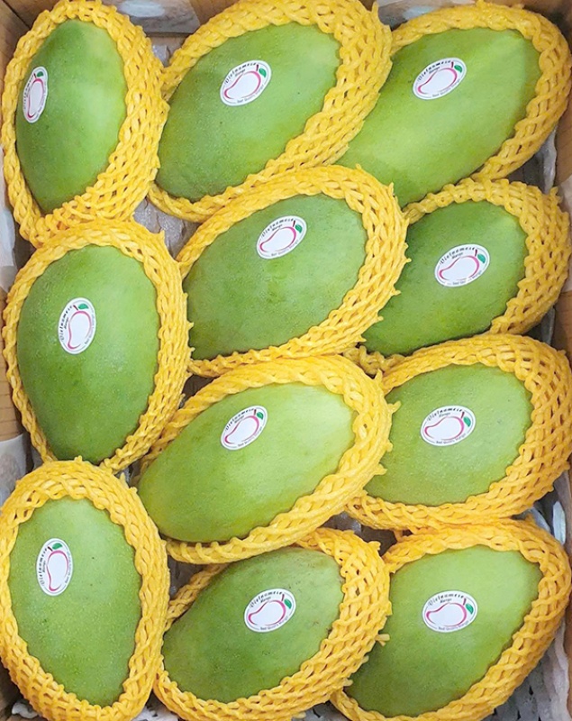 PREMIUM FRESH SWEET MANGO – VIETNAM | HIGH-QUALITY TROPICAL FRUIT FOR WHOLESALE & EXPORT 2