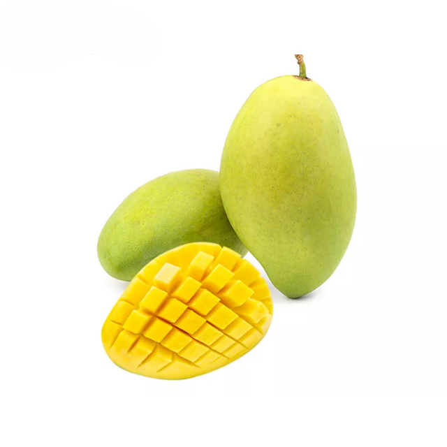 PREMIUM FRESH VIETNAMESE MANGO – FARM-FRESH TROPICAL FRUIT | WHOLESALE & EXPORT SUPPLY