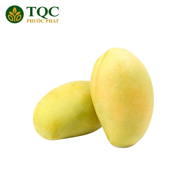 PREMIUM FRESH VIETNAMESE MANGO – FARM-FRESH TROPICAL FRUIT | WHOLESALE & EXPORT SUPPLY 2