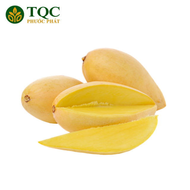 PREMIUM FRESH VIETNAMESE MANGO – FARM-FRESH TROPICAL FRUIT | WHOLESALE & EXPORT SUPPLY 4