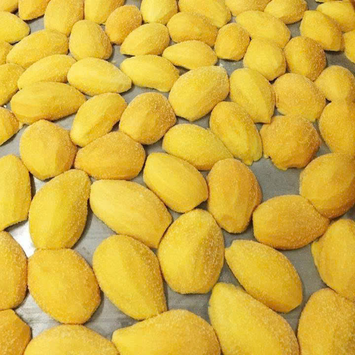 PREMIUM FROZEN MANGO – VIETNAM | NATURALLY SWEET TROPICAL FRUIT FOR B2B EXPORT 2