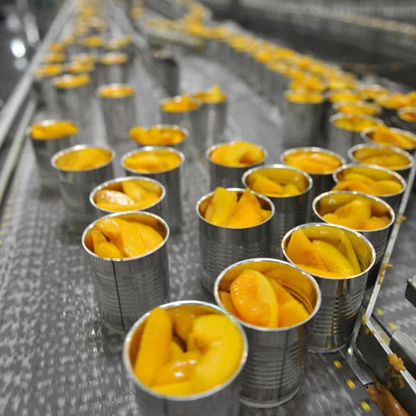 CANNED MANGO WHOLESALE – VIETNAM | COMPETITIVE B2B SUPPLY FOR EXPORT