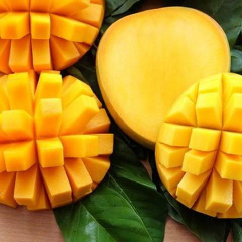 PREMIUM ORGANIC KEO MANGO – VIETNAM | READY-TO-EAT FRESH TROPICAL FRUIT 2