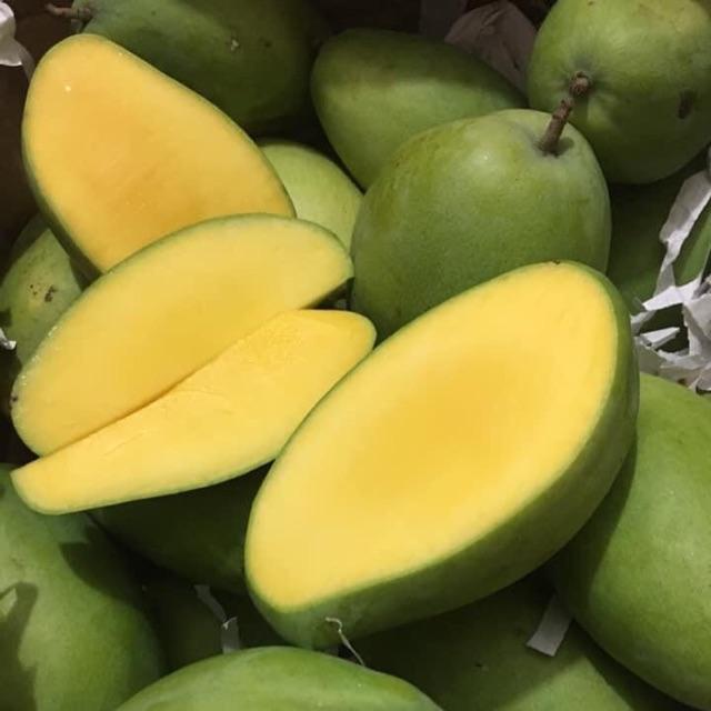 PREMIUM ORGANIC KEO MANGO – VIETNAM | READY-TO-EAT FRESH TROPICAL FRUIT 3