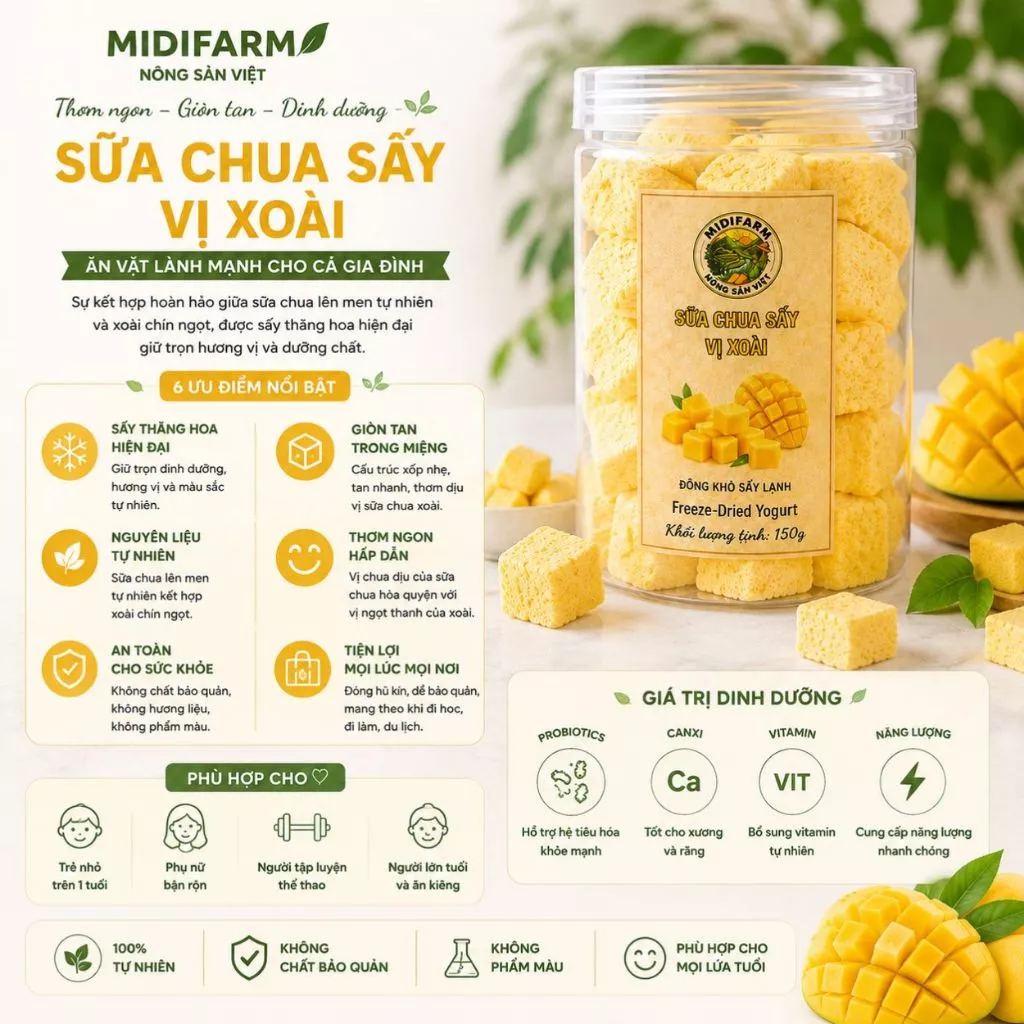 MANGO YOGURT DRIED SNACK – VIETNAM | PROBIOTIC & CALCIUM-FORTIFIED 3