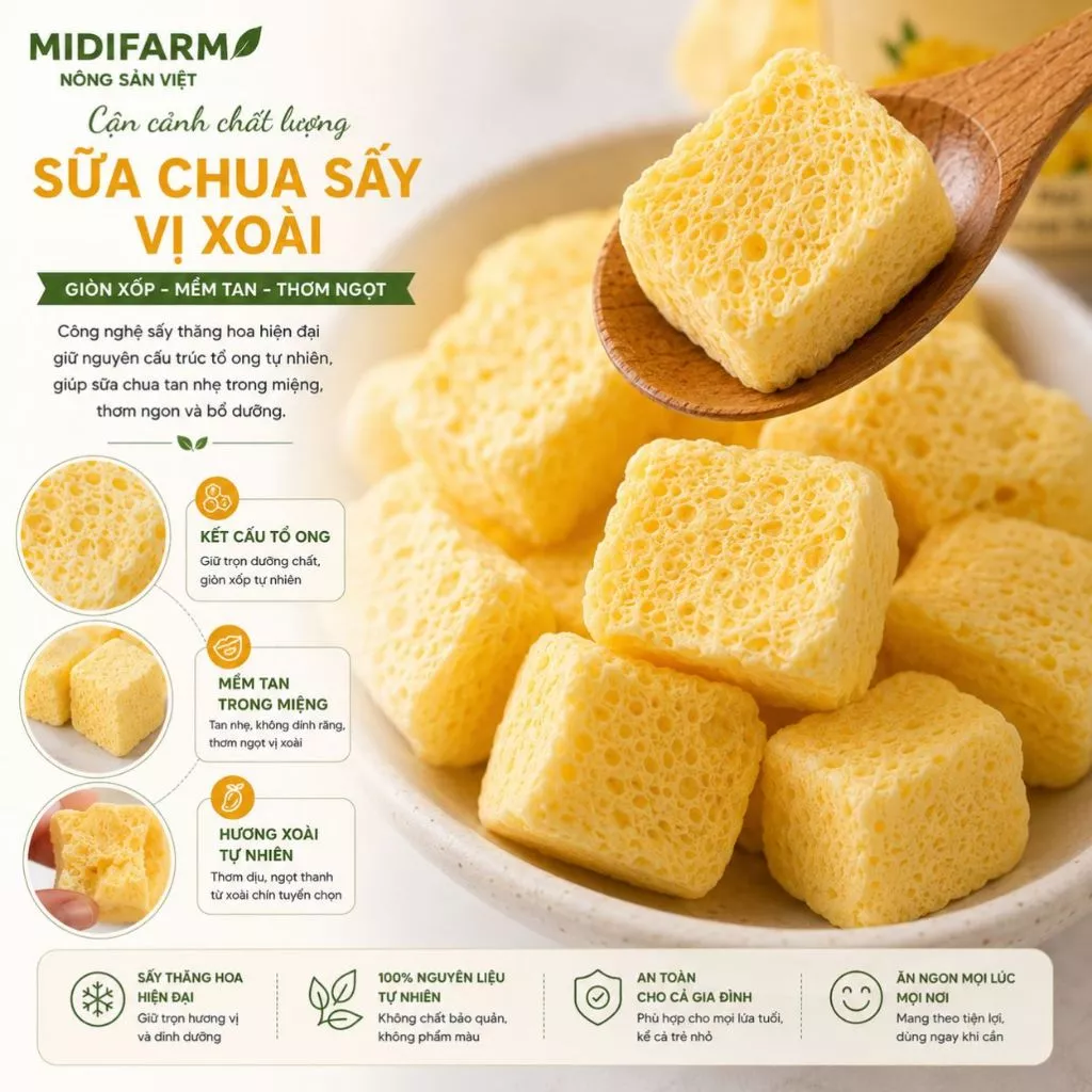 MANGO YOGURT DRIED SNACK – VIETNAM | PROBIOTIC & CALCIUM-FORTIFIED 4