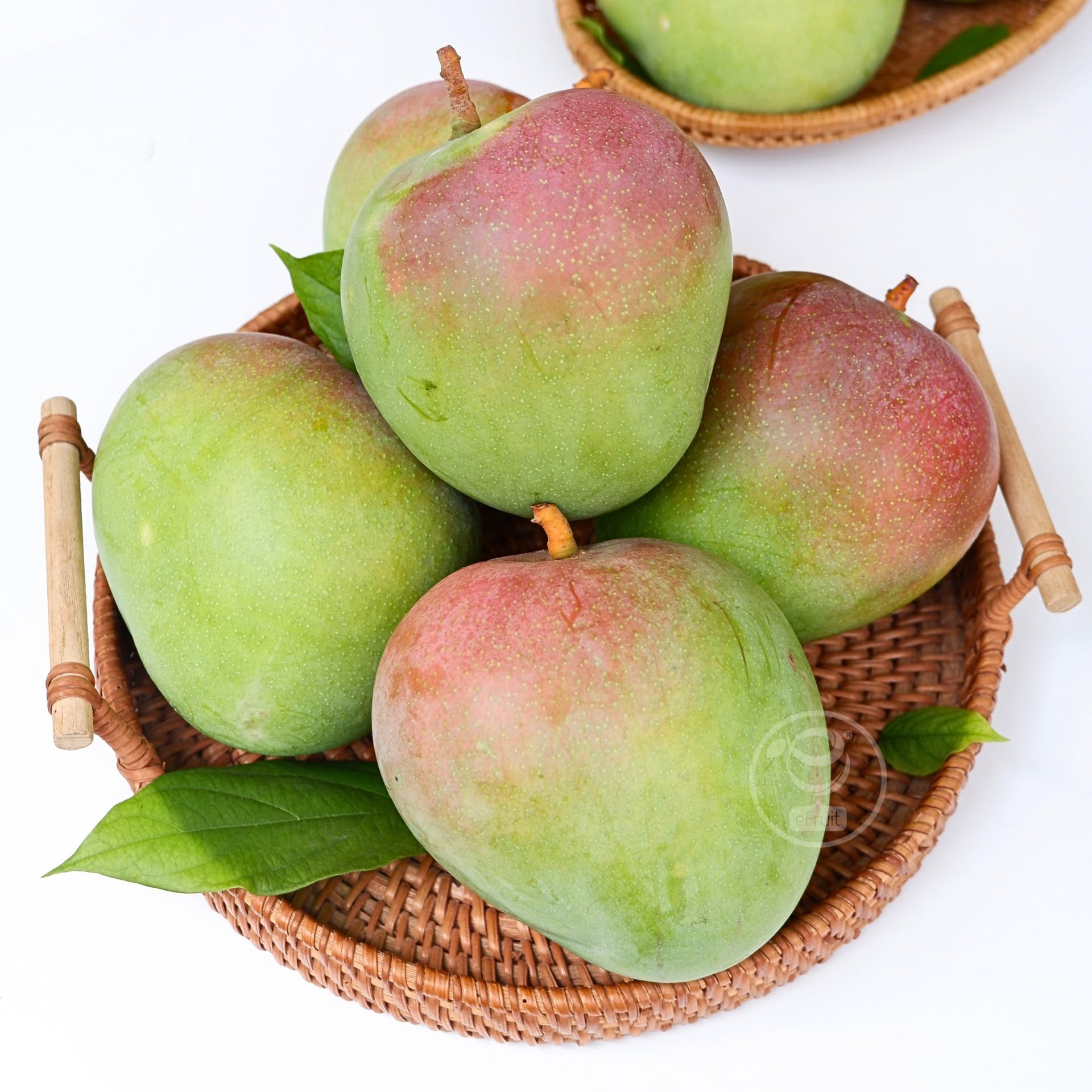GREEN AUSTRALIAN MANGO – VIETNAM | CRISP FRESH TROPICAL FRUIT FOR WHOLESALE & EXPORT