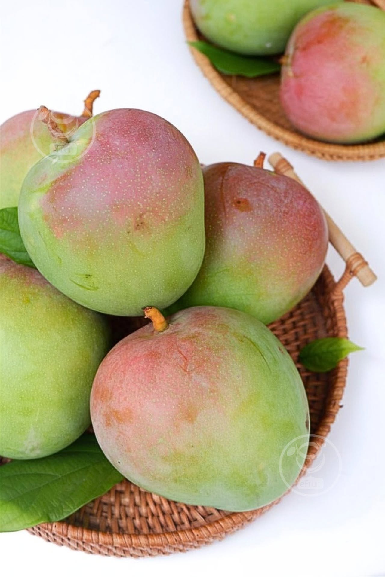 GREEN AUSTRALIAN MANGO – VIETNAM | CRISP FRESH TROPICAL FRUIT FOR WHOLESALE & EXPORT 2