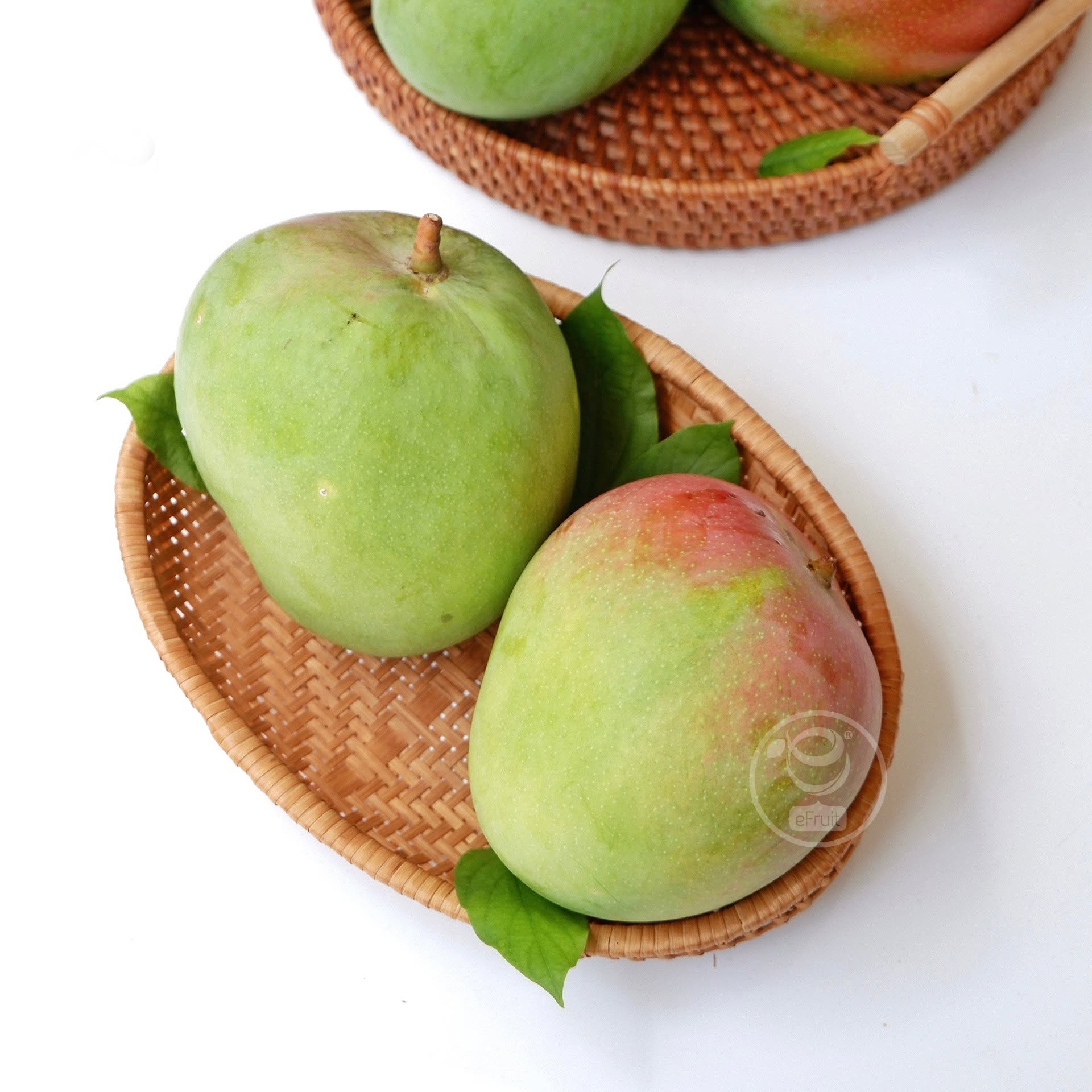 GREEN AUSTRALIAN MANGO – VIETNAM | CRISP FRESH TROPICAL FRUIT FOR WHOLESALE & EXPORT 3