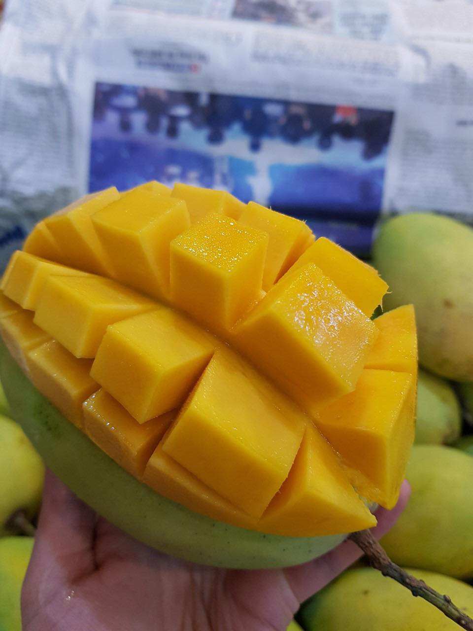IQF FROZEN MANGO – VIETNAM | NATURALLY SWEET YELLOW FRUIT WITH CUSTOM WHOLESALE PACKING 4