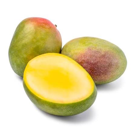 FRESH KENT MANGO – VIETNAM | PREMIUM TROPICAL FRUIT FOR WHOLESALE & EXPORT