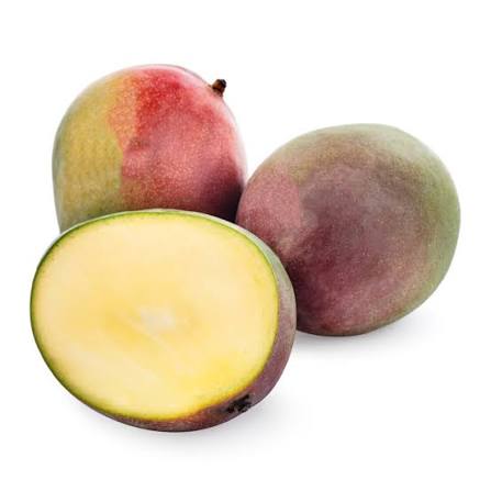 FRESH KENT MANGO – VIETNAM | PREMIUM TROPICAL FRUIT FOR WHOLESALE & EXPORT 2