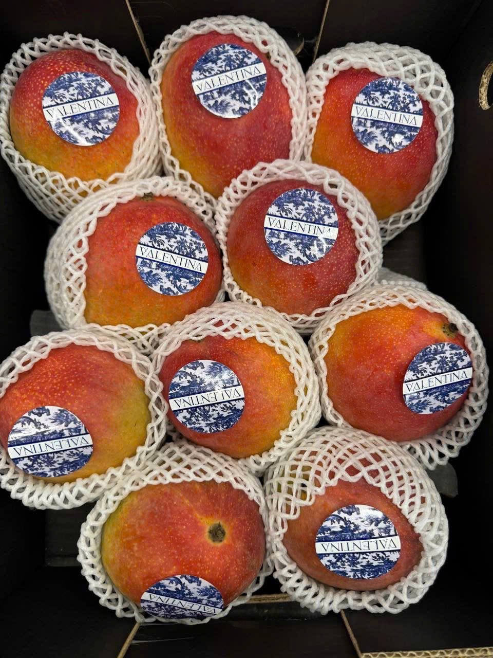FRESH KENT MANGO – VIETNAM | PREMIUM TROPICAL FRUIT FOR WHOLESALE & EXPORT 3