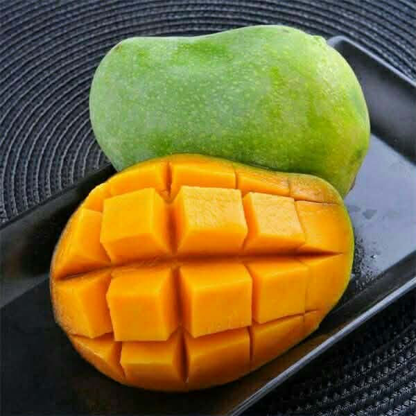 PREMIUM FRESH ORGANIC MANGO – VIETNAM | NATURALLY RIPENED TROPICAL FRUIT FOR EXPORT 2