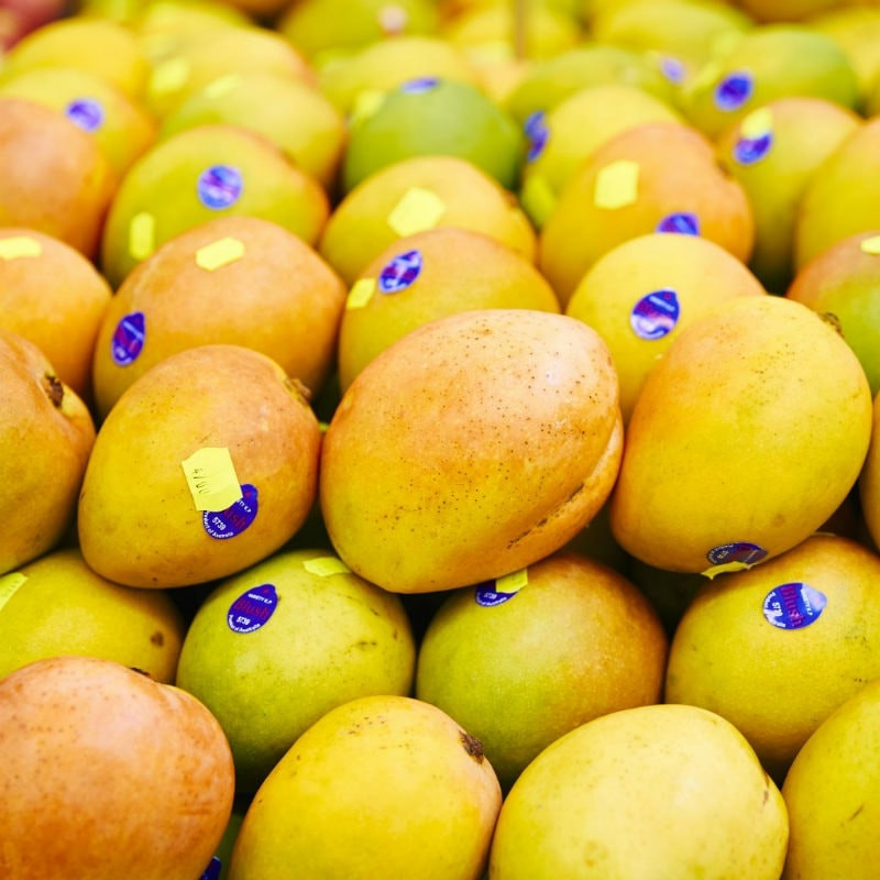 FRESH KENSINGTON PRIDE MANGO – VIETNAM | AROMATIC TROPICAL FRUIT FOR WHOLESALE & EXPORT