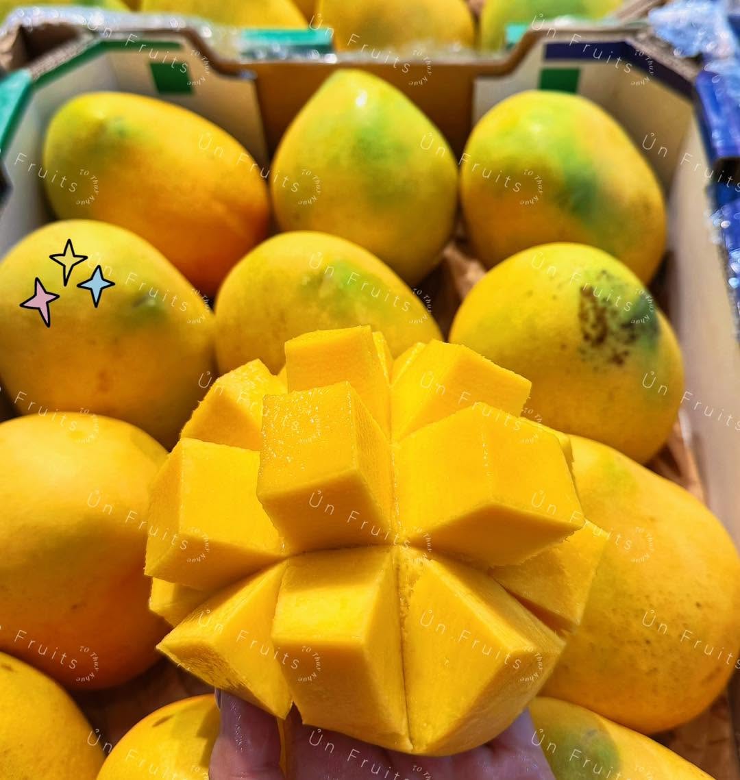 FRESH KENSINGTON PRIDE MANGO – VIETNAM | AROMATIC TROPICAL FRUIT FOR WHOLESALE & EXPORT 2