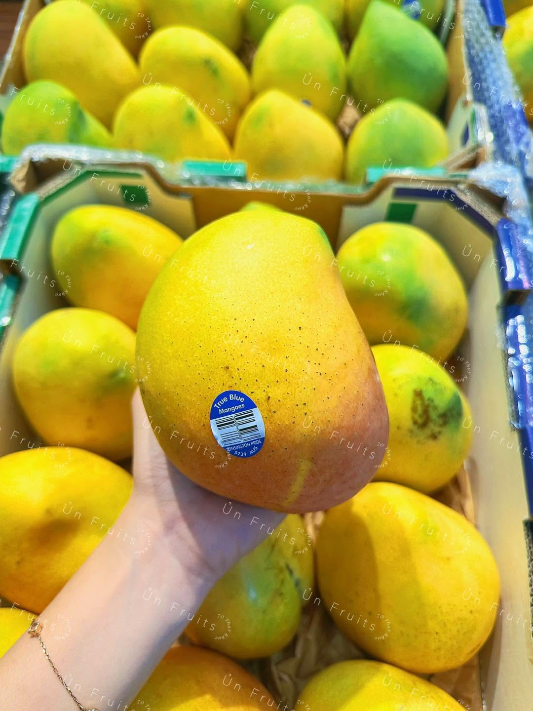 FRESH KENSINGTON PRIDE MANGO – VIETNAM | AROMATIC TROPICAL FRUIT FOR WHOLESALE & EXPORT 3