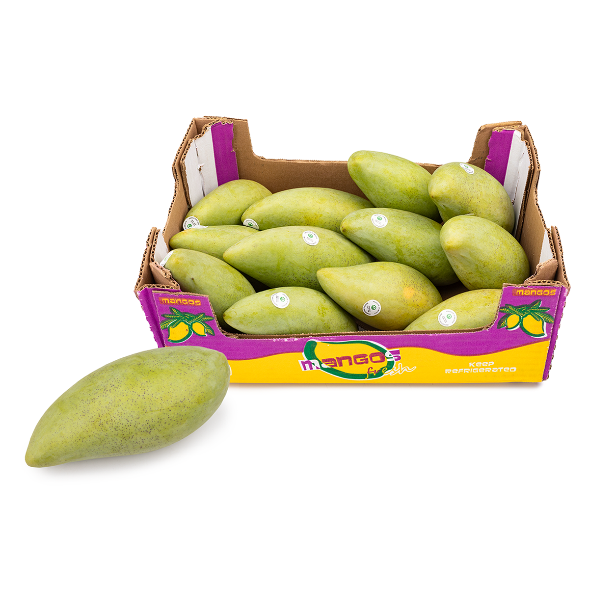 NAM DOK MAI MANGO – VIETNAM | SWEET & AROMATIC FRESH MANGO FOR EXPORT