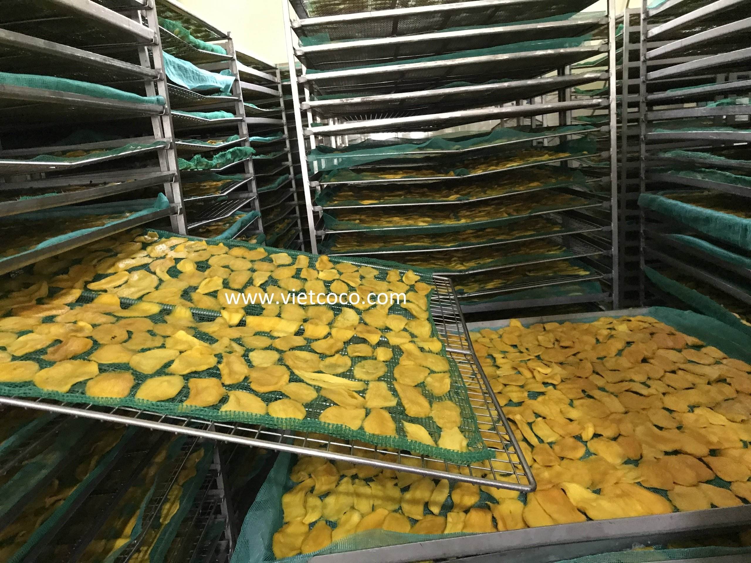 NATURAL SOFT-DRIED MANGO – VIETNAM | HIGH-QUALITY EXPORT SUPPLY AT COMPETITIVE PRICES 2