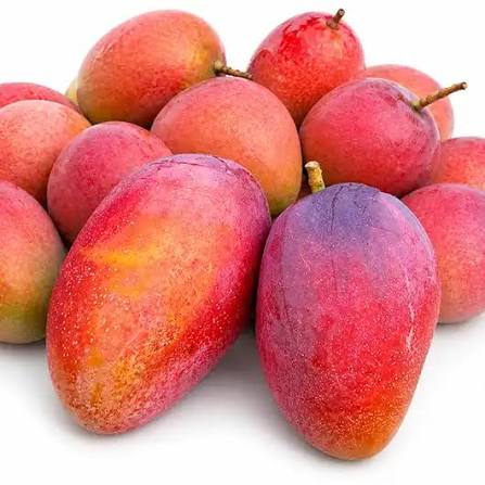 FRESH IRWIN MANGO – VIETNAM | DISTINCTIVE RED-BLUSH TROPICAL FRUIT FOR EXPORT 2