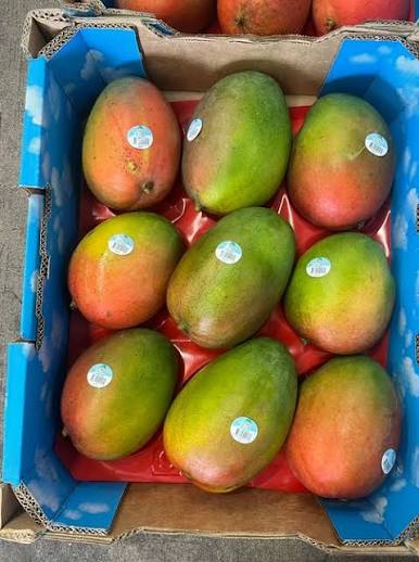 FRESH KEITT MANGO – VIETNAM | LARGE, SWEET-TANGY TROPICAL FRUIT FOR EXPORT 3