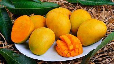 FRESH VIETNAMESE MANGO – BULK WHOLESALE | DIRECT FACTORY & CUSTOM VARIETIES 3