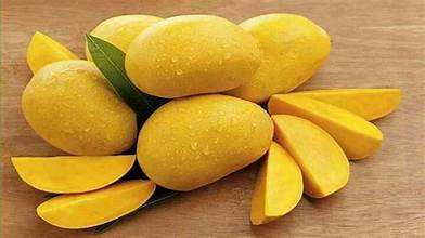 FRESH VIETNAMESE MANGO – BULK WHOLESALE | DIRECT FACTORY & CUSTOM VARIETIES 4