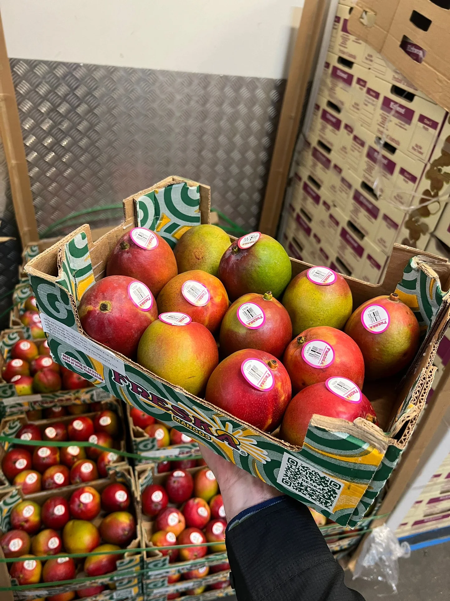 FRESH TOMMY ATKINS MANGO – VIETNAM | FIRM, AROMATIC TROPICAL FRUIT FOR EXPORT 2