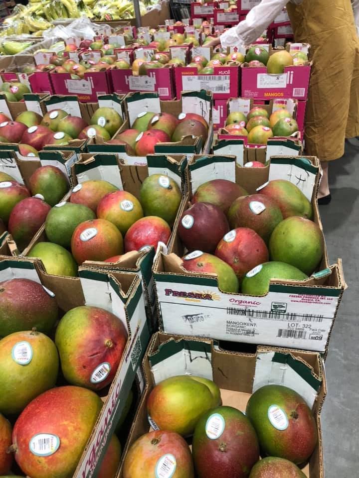 FRESH TOMMY ATKINS MANGO – VIETNAM | FIRM, AROMATIC TROPICAL FRUIT FOR EXPORT 3