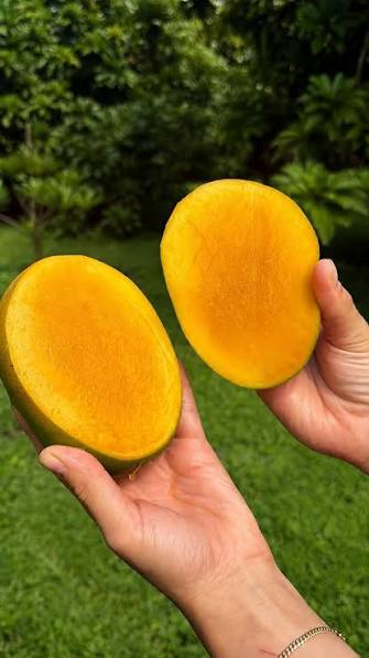 MANGO SYRUP 700ML – VIETNAM | SWEET TROPICAL FLAVOR FOR BEVERAGES & FOODSERVICE 4