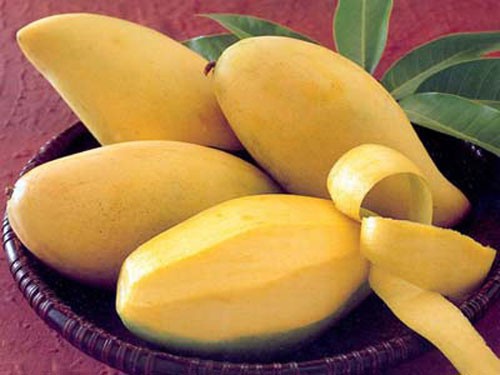 MANGO SYRUP 710ML – VIETNAM | BEVERAGE MIXING INGREDIENT FOR CAFÉS & FOODSERVICE 4