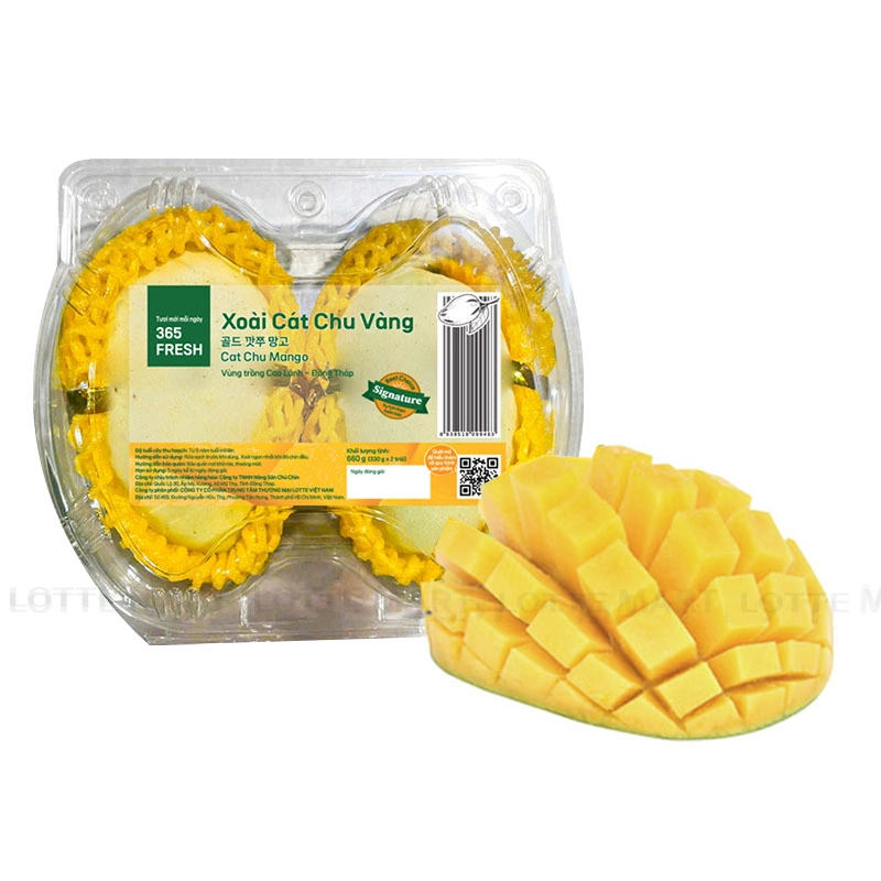 FRESH CAT VANG MANGO – VIETNAM | SWEET, AROMATIC TROPICAL FRUIT FOR WHOLESALE & EXPORT 2