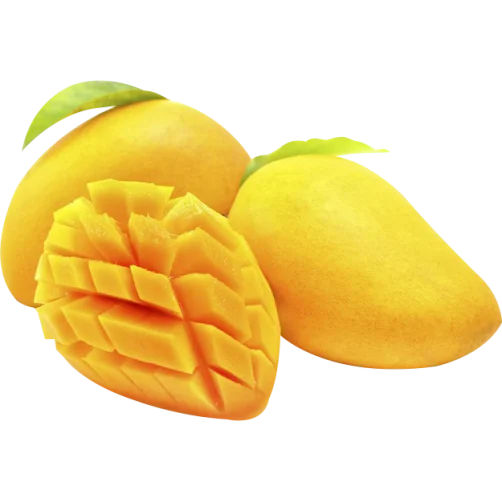 FRESH CAT VANG MANGO – VIETNAM | SWEET, AROMATIC TROPICAL FRUIT FOR WHOLESALE & EXPORT 3