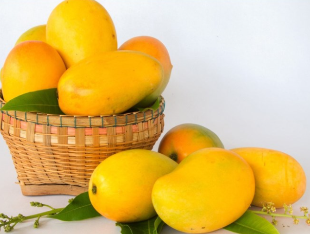 VIETNAMESE MANGO LIQUEUR – VIETNAM | DISTINCTIVE TROPICAL SPECIALTY SPIRIT 4