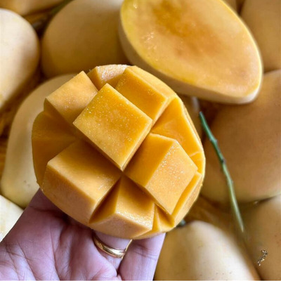 MANGO SYRUP 2.5KG – VIETNAM | BULK FORMAT FOR BEVERAGE & FOODSERVICE 4