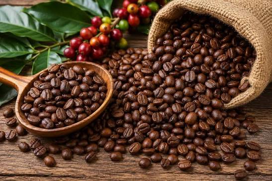 VIETNAMESE LATTE CAPPUCCINO COFFEE 250ML – WHOLESALE | CAFFEINATED READY-TO-DRINK BEVERAGE 2