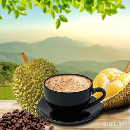 DURian MILK COFFEE 250ML – VIETNAM | CANNED READY-TO-DRINK COFFEE 4