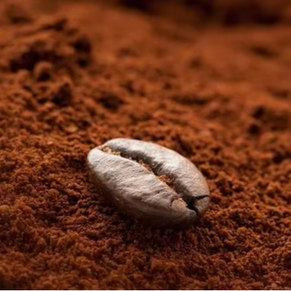 PREMIUM MEDIUM ROAST ARABICA COFFEE – VIETNAM | 100% PURE, BALANCED FLAVOR FOR WHOLESALE 2