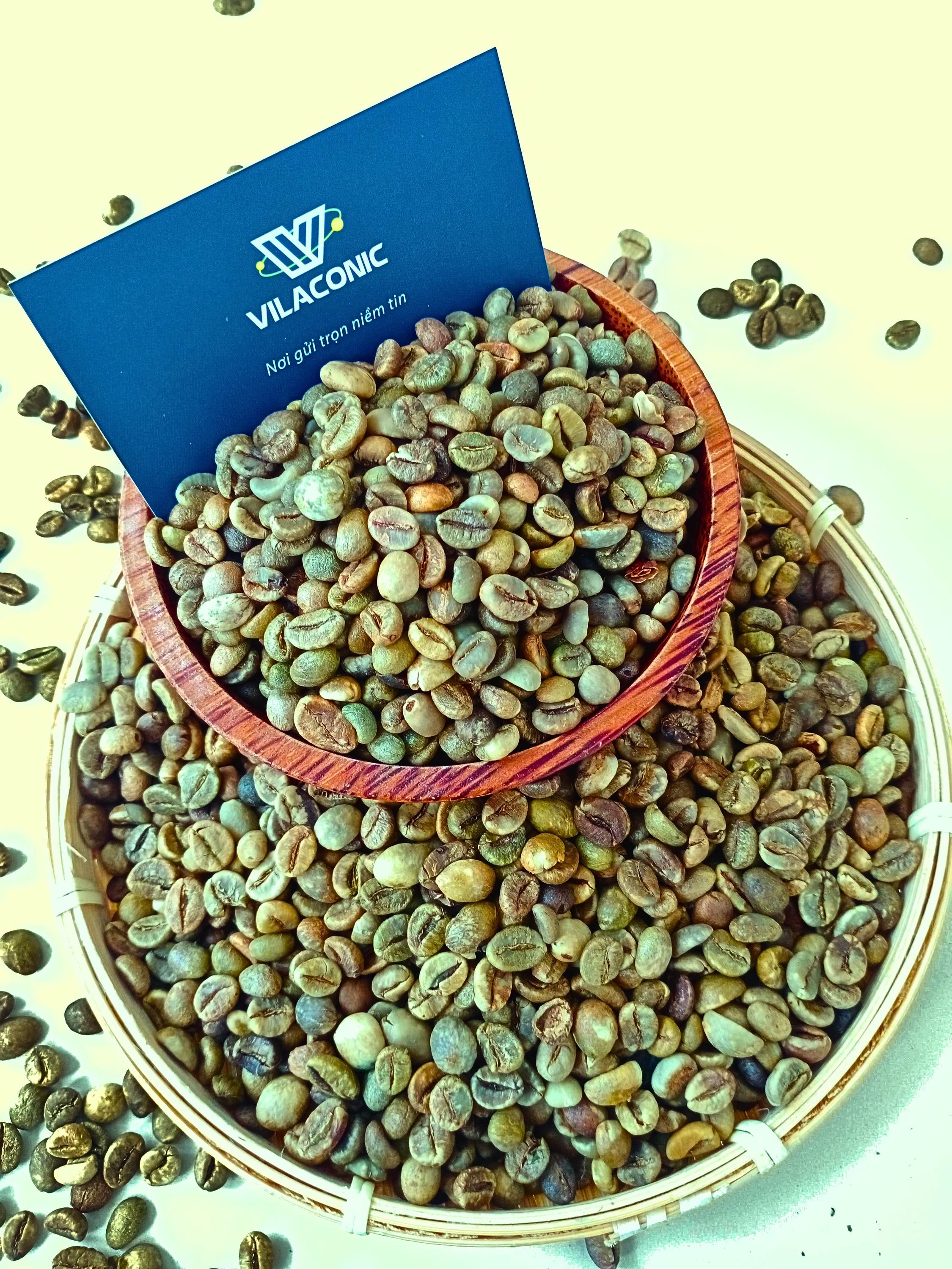 BULK VIETNAMESE COFFEE – NATURAL ARABICA & ROBUSTA | WHOLESALE EXPORT SUPPLY 2