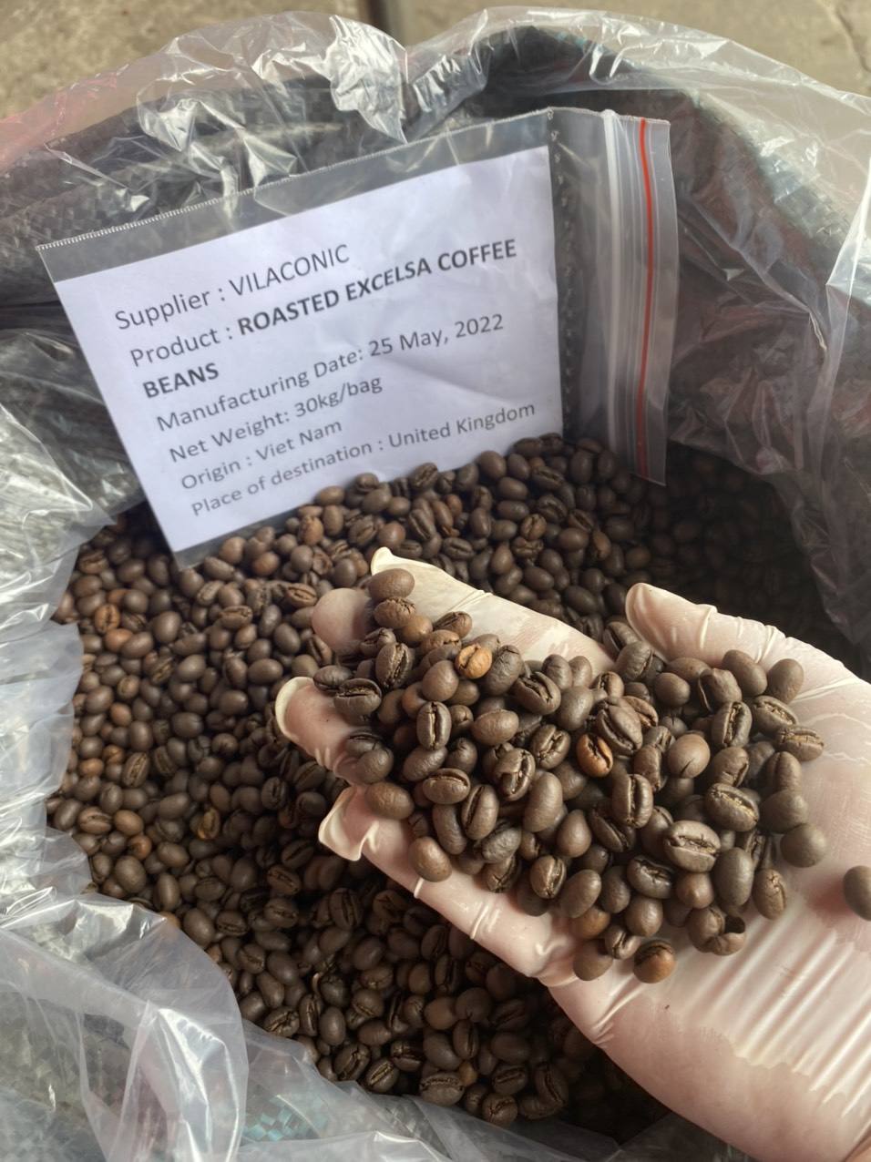 BULK VIETNAMESE COFFEE – NATURAL ARABICA & ROBUSTA | WHOLESALE EXPORT SUPPLY 3