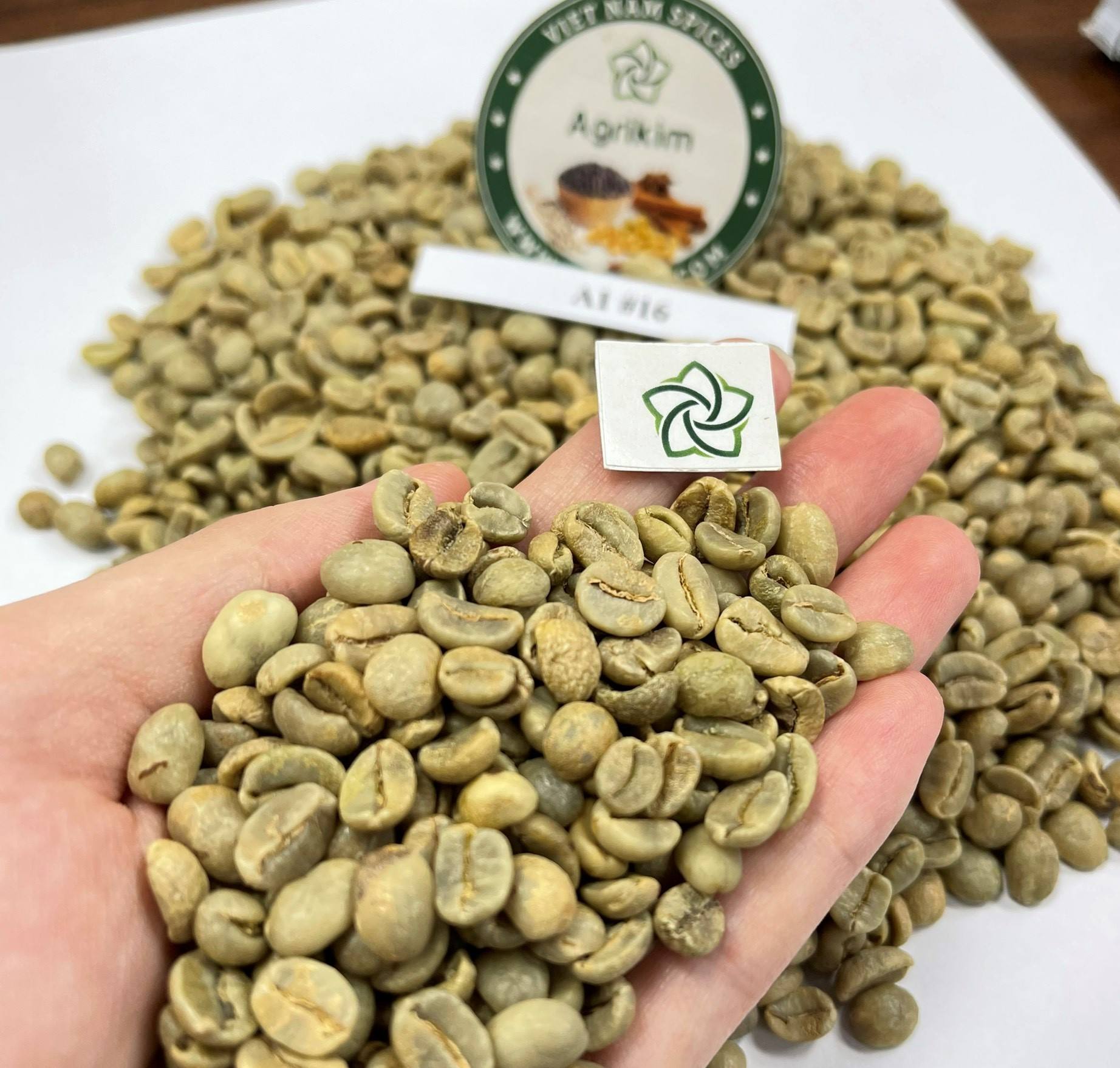 HIGH-QUALITY VIETNAMESE ARABICA GREEN COFFEE BEANS – FACTORY SUPPLY | WHOLESALE EXPORT