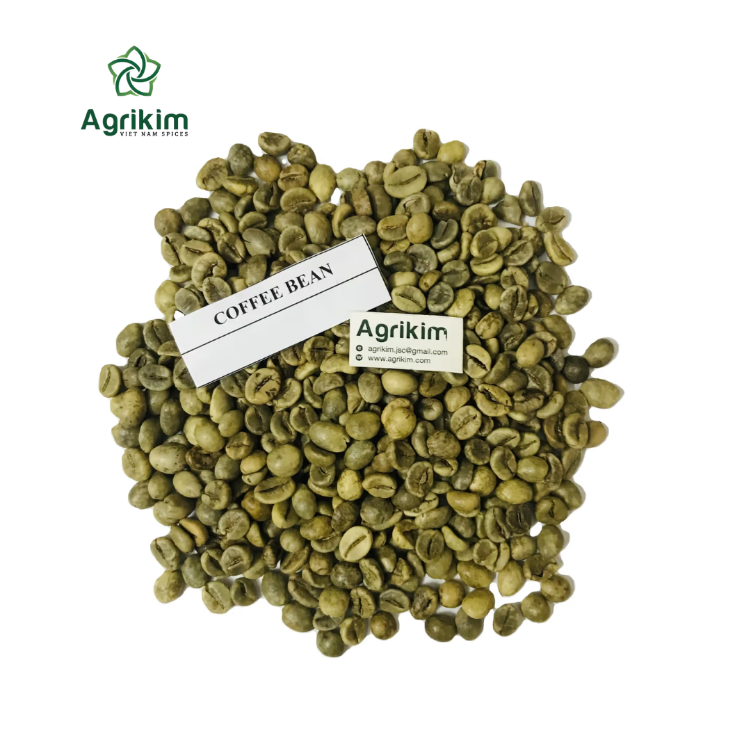 HIGH-QUALITY VIETNAMESE ARABICA GREEN COFFEE BEANS – FACTORY SUPPLY | WHOLESALE EXPORT 2