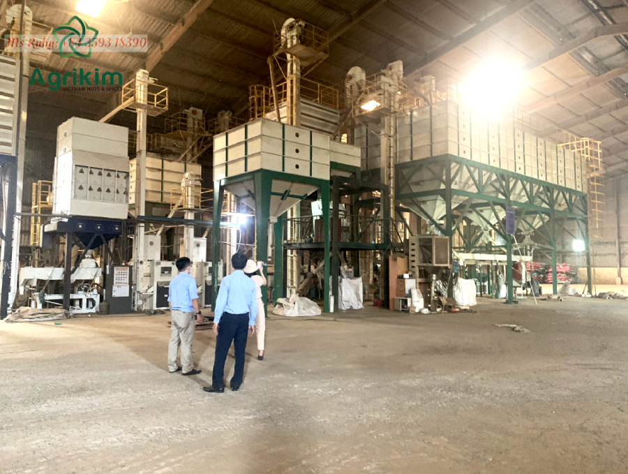 HIGH-QUALITY VIETNAMESE ARABICA GREEN COFFEE BEANS – FACTORY SUPPLY | WHOLESALE EXPORT 3